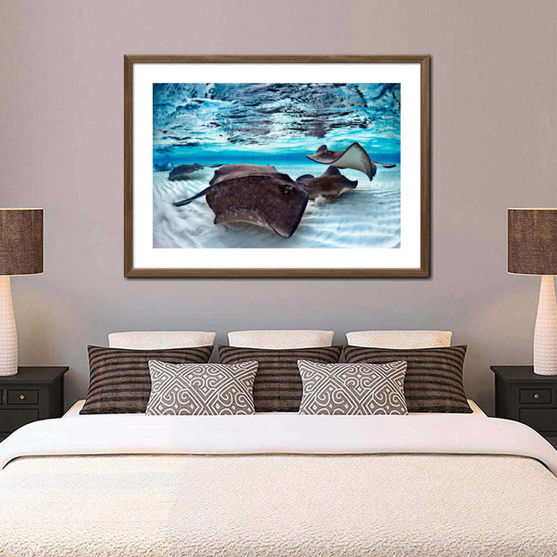 Stingrays Sea Life Wall Art