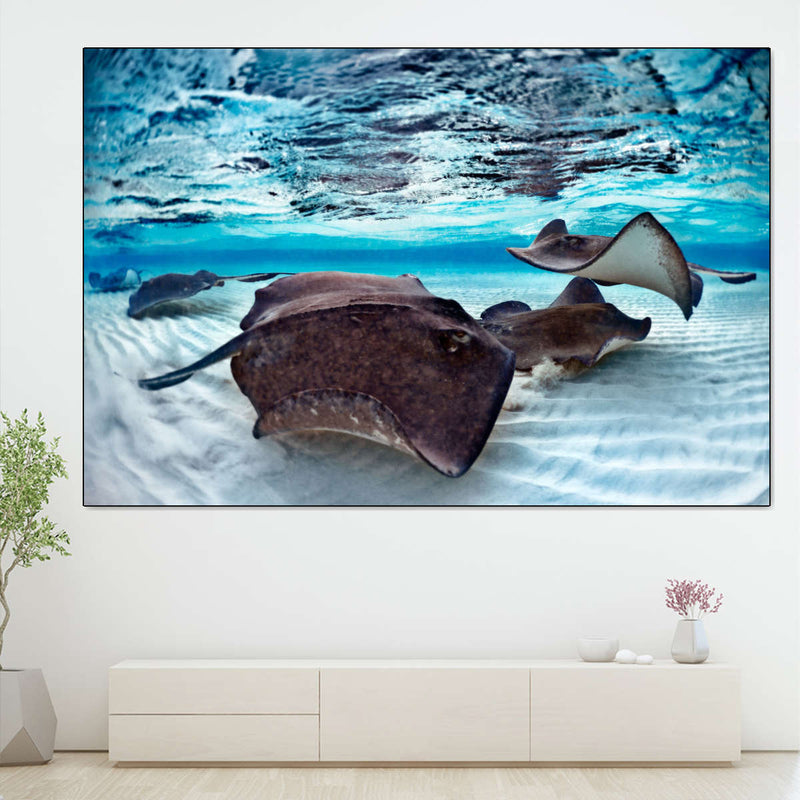 Stingrays Sea Life Wall Art
