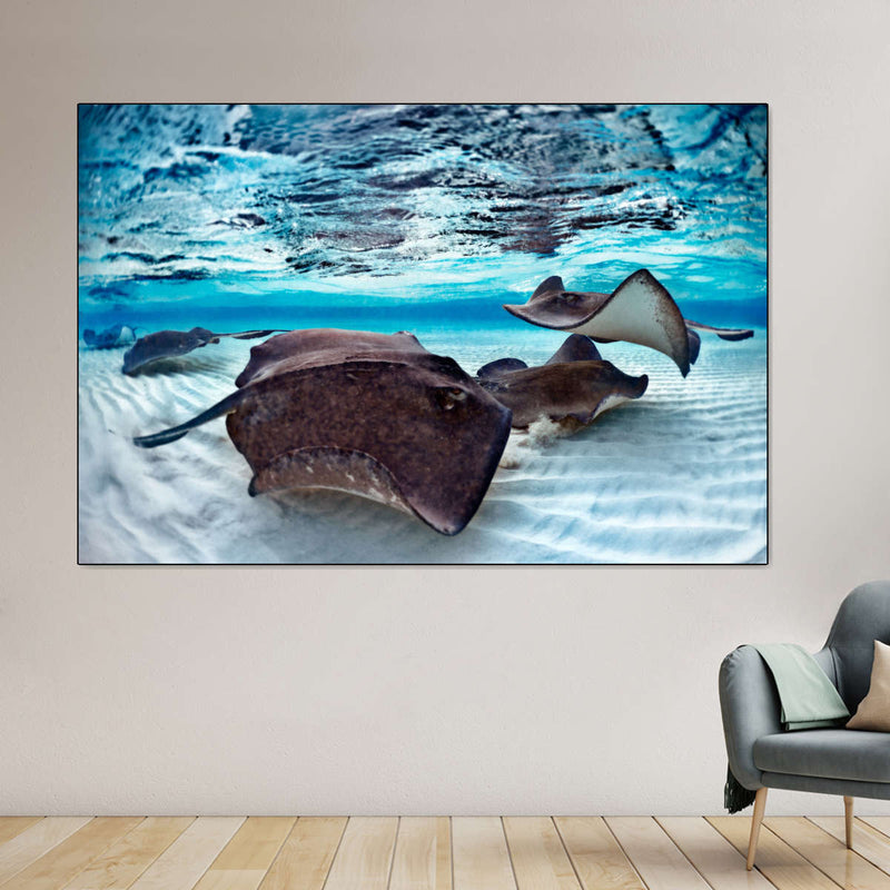 Stingrays Sea Life Wall Art