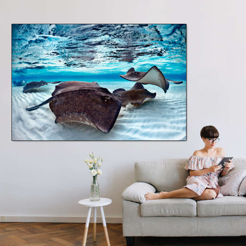 Stingrays Sea Life Wall Art