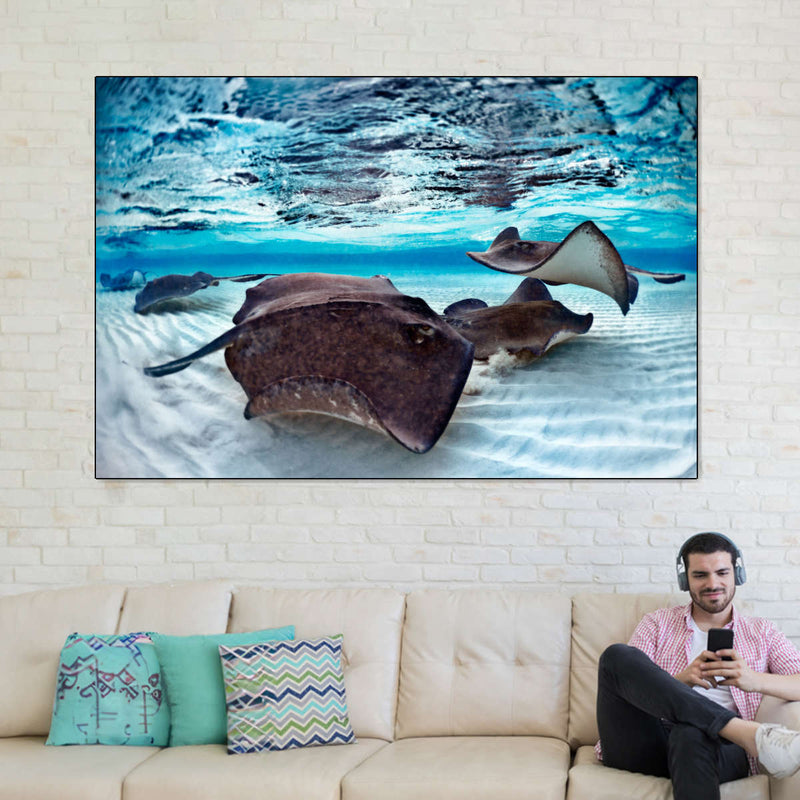 Stingrays Sea Life Wall Art