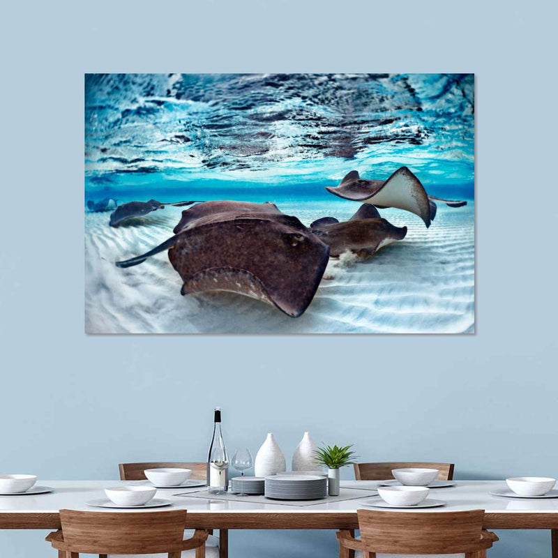 Stingrays Sea Life Wall Art