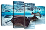 Stingrays Sea Life Wall Art