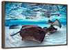 Stingrays Sea Life Wall Art