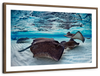Stingrays Sea Life Wall Art