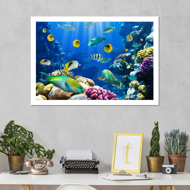 Underwater Sea Creatures Wall Art