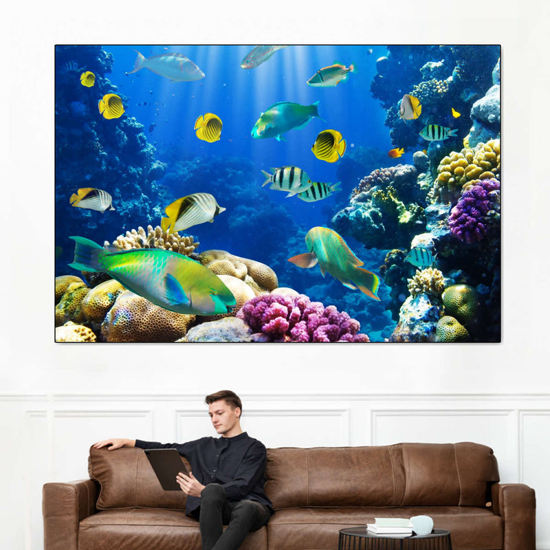 Underwater Sea Creatures Wall Art