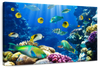 Underwater Sea Creatures Wall Art