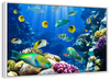 Underwater Sea Creatures Wall Art