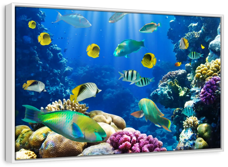 Underwater Sea Creatures Wall Art