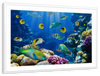 Underwater Sea Creatures Wall Art