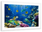 Underwater Sea Creatures Wall Art