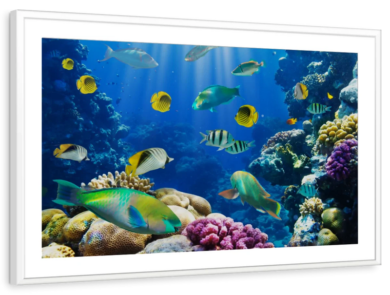 Underwater Sea Creatures Wall Art