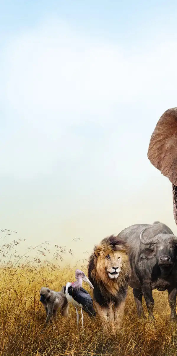 Kenyan Safari Animals Wall Art