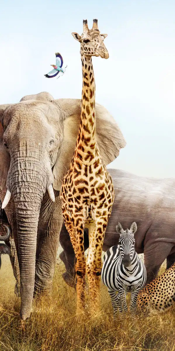 Kenyan Safari Animals Wall Art