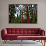 Vibrant Redwood Wall Art