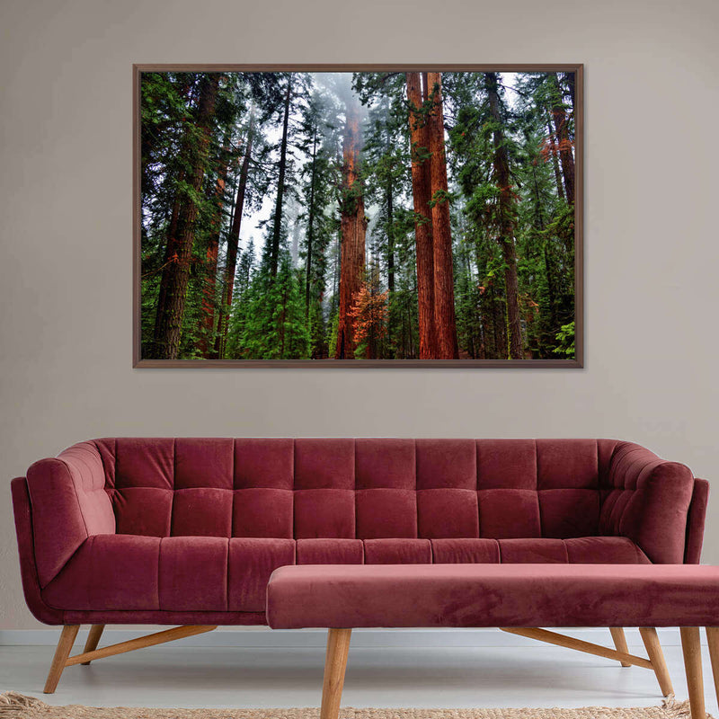 Vibrant Redwood Wall Art