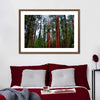 Vibrant Redwood Wall Art