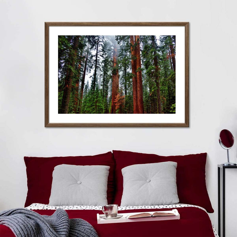 Vibrant Redwood Wall Art