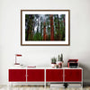 Vibrant Redwood Wall Art
