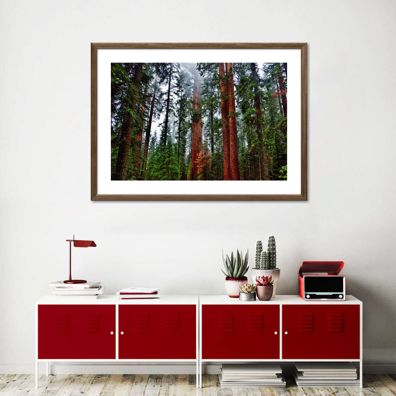 Vibrant Redwood Wall Art