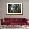 Vibrant Redwood Wall Art