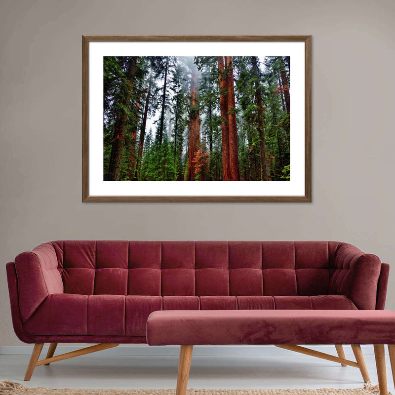 Vibrant Redwood Wall Art