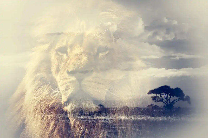 Kingdom Of Lions Wall Art