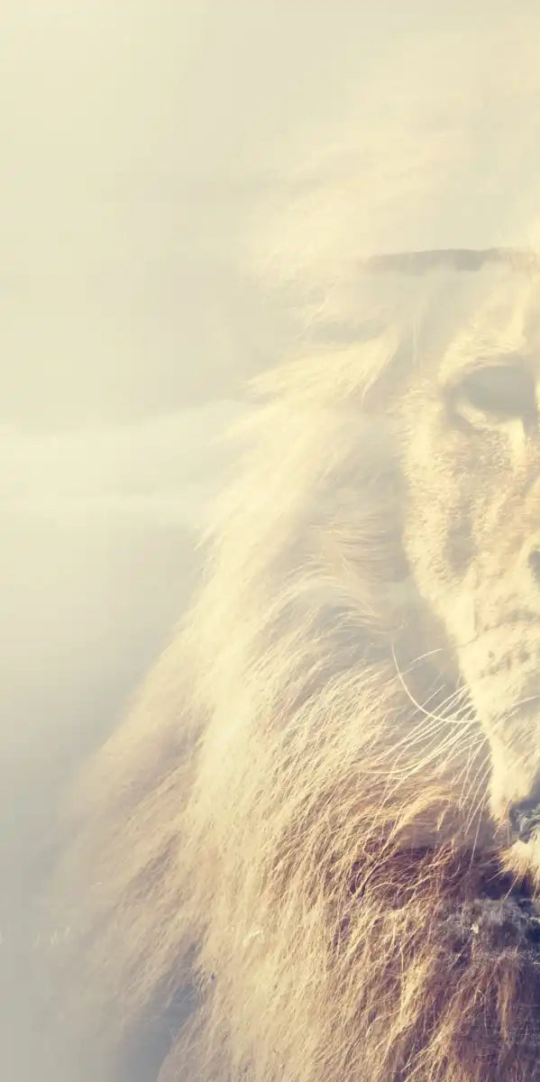 Kingdom Of Lions Wall Art