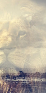 Kingdom Of Lions Wall Art