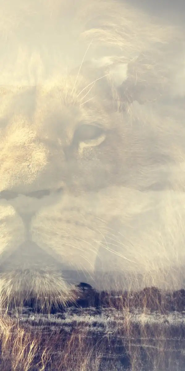 Kingdom Of Lions Wall Art