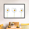Plucked Daisies Wall Art