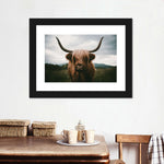 Open Field Highland Cow Wall Art