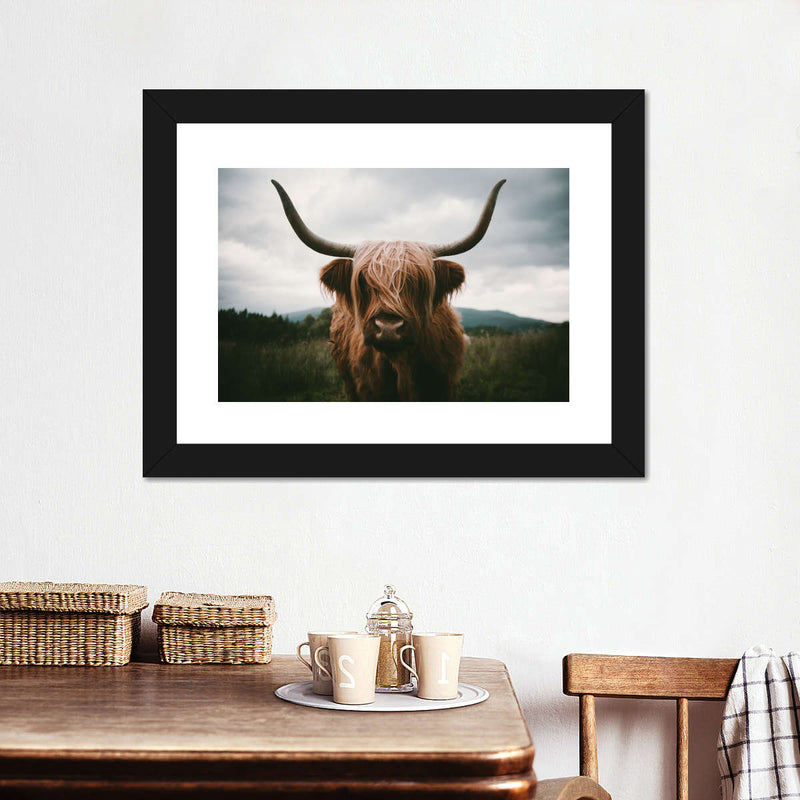 Open Field Highland Cow Wall Art