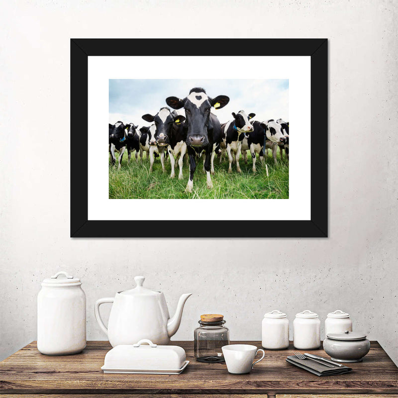 Holstein Cows Wall Art