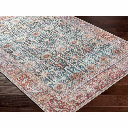 Rust Catadupa Distressed Washable Area Rug