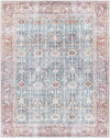 Rust Catadupa Distressed Washable Area Rug