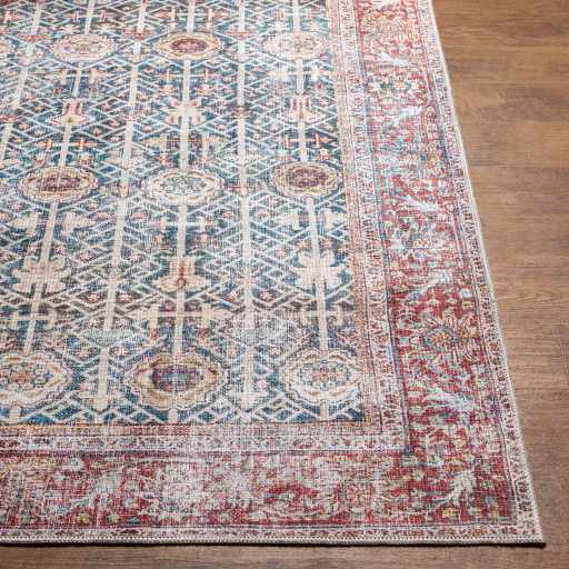 Rust Catadupa Distressed Washable Area Rug
