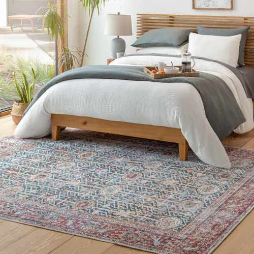 Rust Catadupa Distressed Washable Area Rug