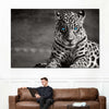 Jaguar Eyes Pop Wall Art