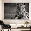 Jaguar Eyes Pop Wall Art