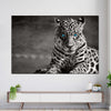 Jaguar Eyes Pop Wall Art