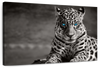 Jaguar Eyes Pop Wall Art