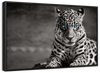 Jaguar Eyes Pop Wall Art