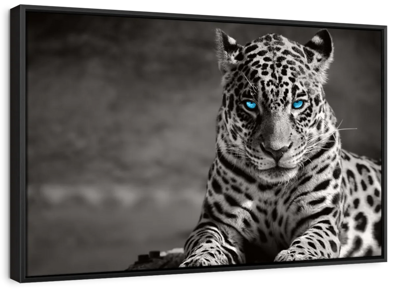 Jaguar Eyes Pop Wall Art