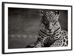 Jaguar Eyes Pop Wall Art