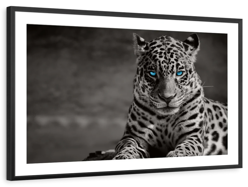 Jaguar Eyes Pop Wall Art