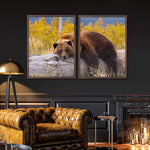 Resting Grizzly Bear Wall Art