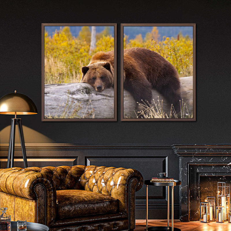 Resting Grizzly Bear Wall Art