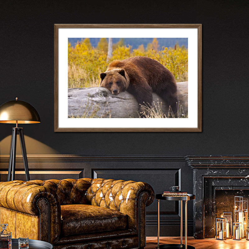 Resting Grizzly Bear Wall Art